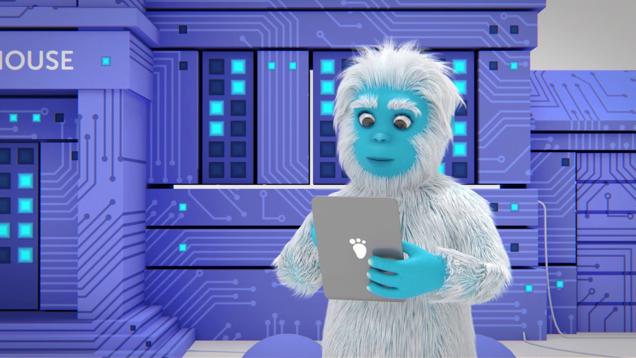 Watch Yeti find his ideal web hosting service with Namecheap