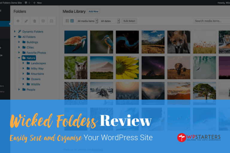 A wordpress site with the words wicked fridays review.